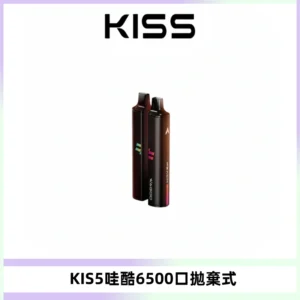 KIS5WAGOO哇酷6500口拋棄式 | 自由混搭雙口味 | 雙芯組合